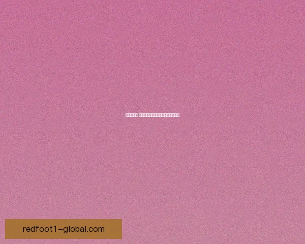 使命召唤6汉化补丁详细介绍与安装步骤全攻略